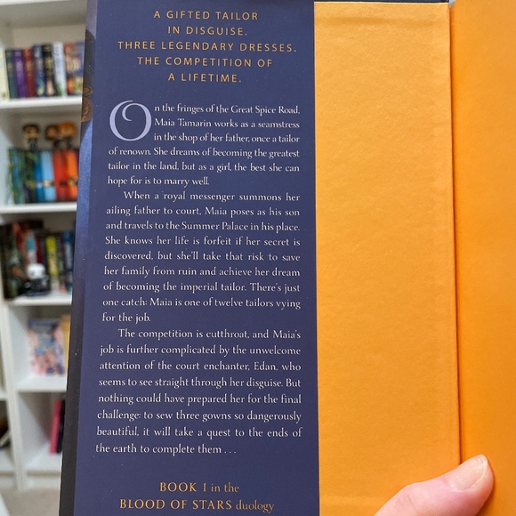 *BRAND NEW* Teen Fantasy Book: Spin the Dawn - Picture 4 of 4